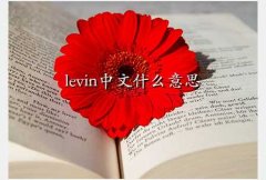 levin