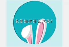 δʶ