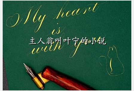 主人翁叫叶宁的小说