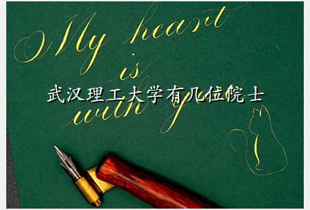 武汉理工大学有几位院士