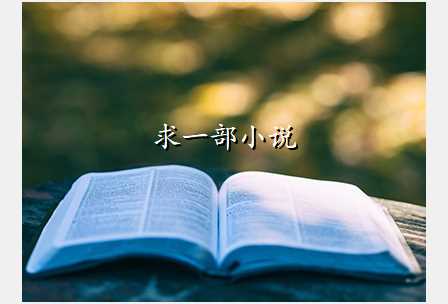 求一部小说