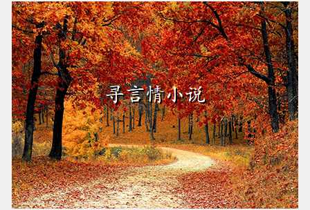 寻言情小说
