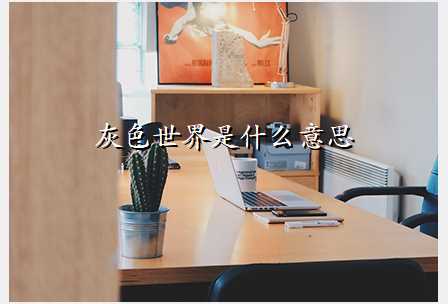 灰色世界是什么意思