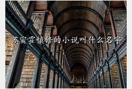 苏蜜霍慎修的小说叫什么名字