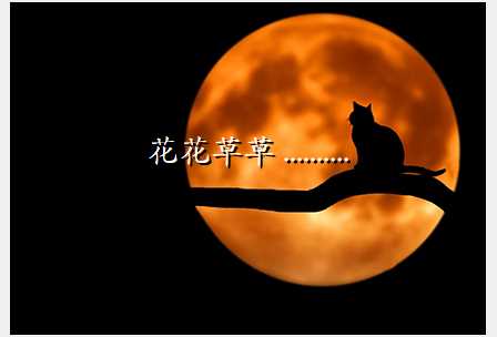 花花草草 ..........