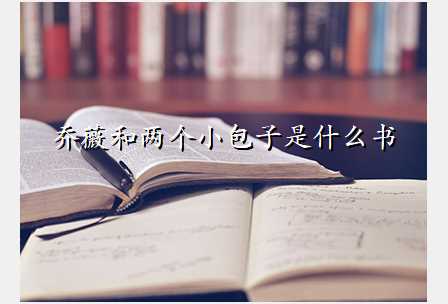 乔薇和两个小包子是什么书