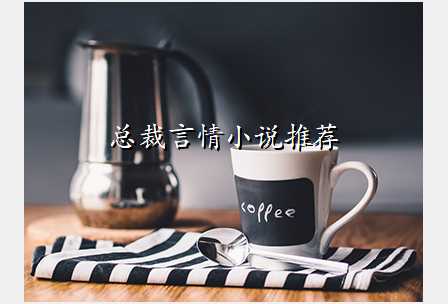 总裁言情小说推荐