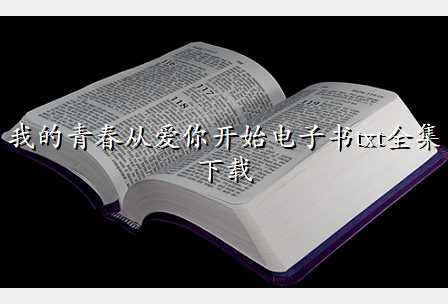 我的青春从爱你开始电子书txt全集下载