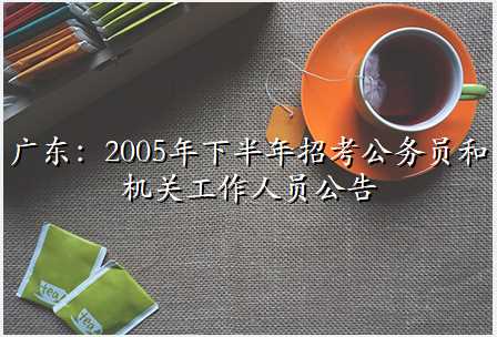 广东:2005年下半年招考公务员和机关工作人员公告