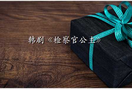 韩剧《检察官公主》