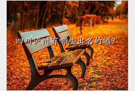 四川泸州有哪些出名的酒?