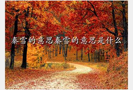 秦雪的意思秦雪的意思是什么