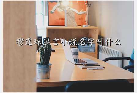 穆霆琛温言小说名字叫什么