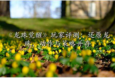 《龙珠觉醒》玩家评测:还原龙珠,动作与策略并存