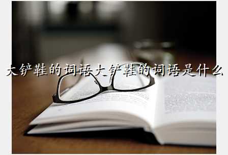 大铲鞋的词语大铲鞋的词语是什么