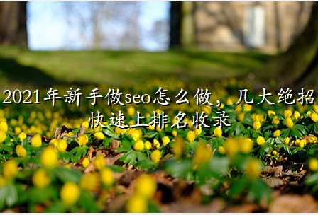 2021年新手做seo怎么做,几大绝招快速上排名收录