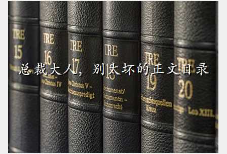 总裁大人,别太坏的正文目录