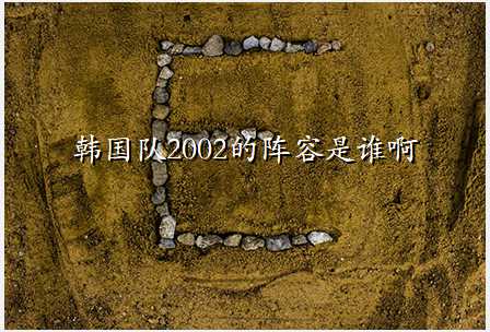 韩国队2002的阵容是谁啊