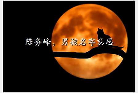 陈务峰,男孩名字意思