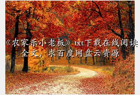 《农家乐小老板》txt下载在线阅读全文,求百度网盘云资源