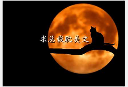 求总裁耽美文