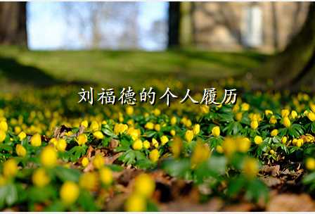 刘福德的个人履历