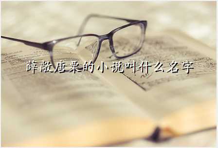 薛敞唐栗的小说叫什么名字