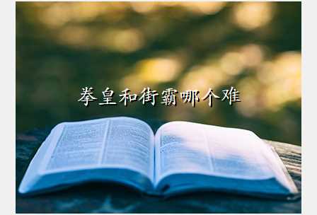 拳皇和街霸哪个难