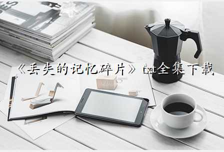 《丢失的记忆碎片》txt全集下载