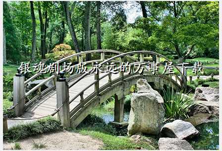 银魂剧场版永远的万事屋下载