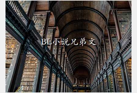 BL小说兄弟文