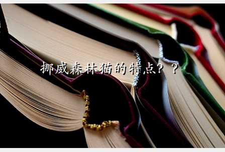 挪威森林猫的特点??