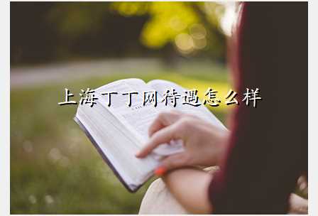 上海丁丁网待遇怎么样