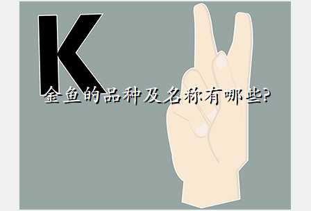 金鱼的品种及名称有哪些?