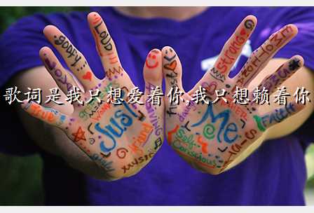 歌词是我只想爱着你,我只想赖着你