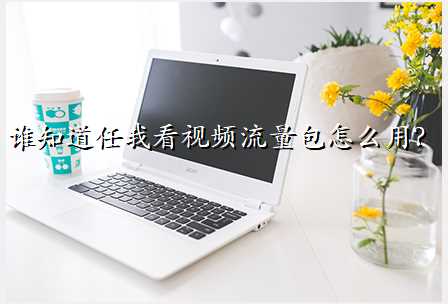 谁知道任我看视频流量包怎么用?