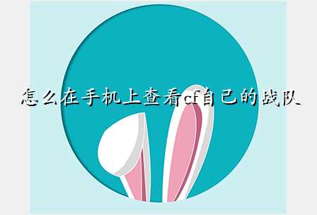 怎么在手机上查看cf自己的战队