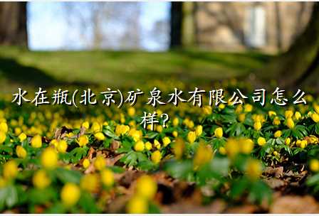 水在瓶(北京)矿泉水有限公司怎么样?