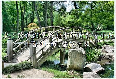 求《致我们终将逝去的青春》小说 +番外txt完整版下载