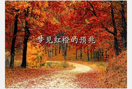 梦见红橙的预兆