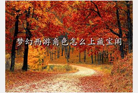 梦幻西游角色怎么上藏宝阁