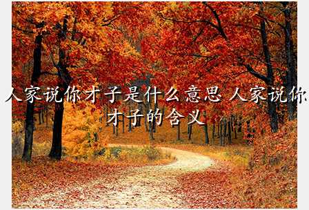 人家说你才子是什么意思 人家说你才子的含义