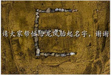 请大家帮忙给龙凤胎起名字,谢谢