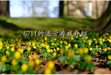 6711的运营游戏介绍