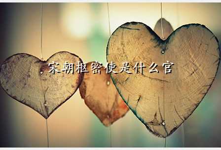 宋朝枢密使是什么官