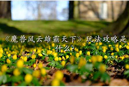《魔兽风云雄霸天下》玩法攻略是什么?