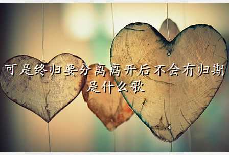 可是终归要分离离开后不会有归期是什么歌