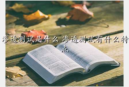 渗透测试是什么 渗透测试有什么特点