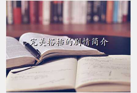 完美搭档的剧情简介