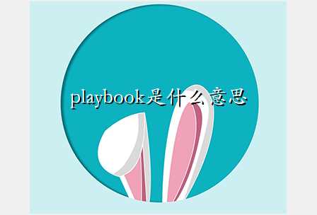 playbook是什么意思
